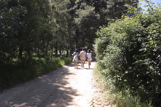 IMG_6531df (640x427)