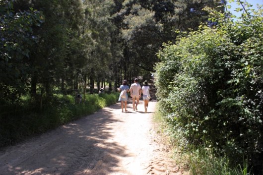 IMG_6531df (640x427)